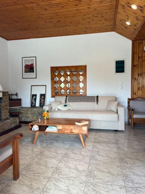 Willa Ktima_Countryliving Samos Town Zewnętrze zdjęcie